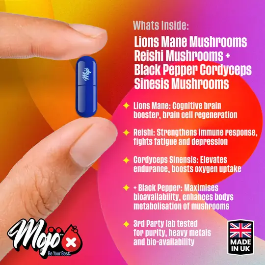 MOJO™ لاينز مايند